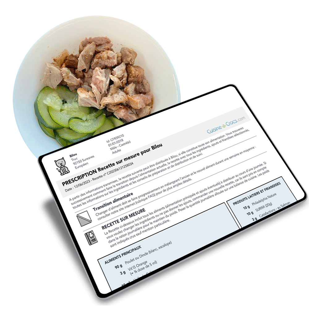 recette pour chat cuisine-a-crocs